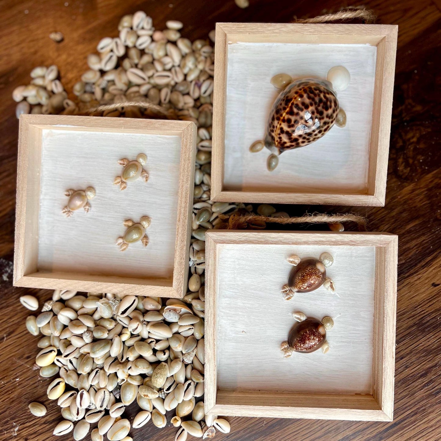 Handmade Seashell Turtle Shadow Box Décor