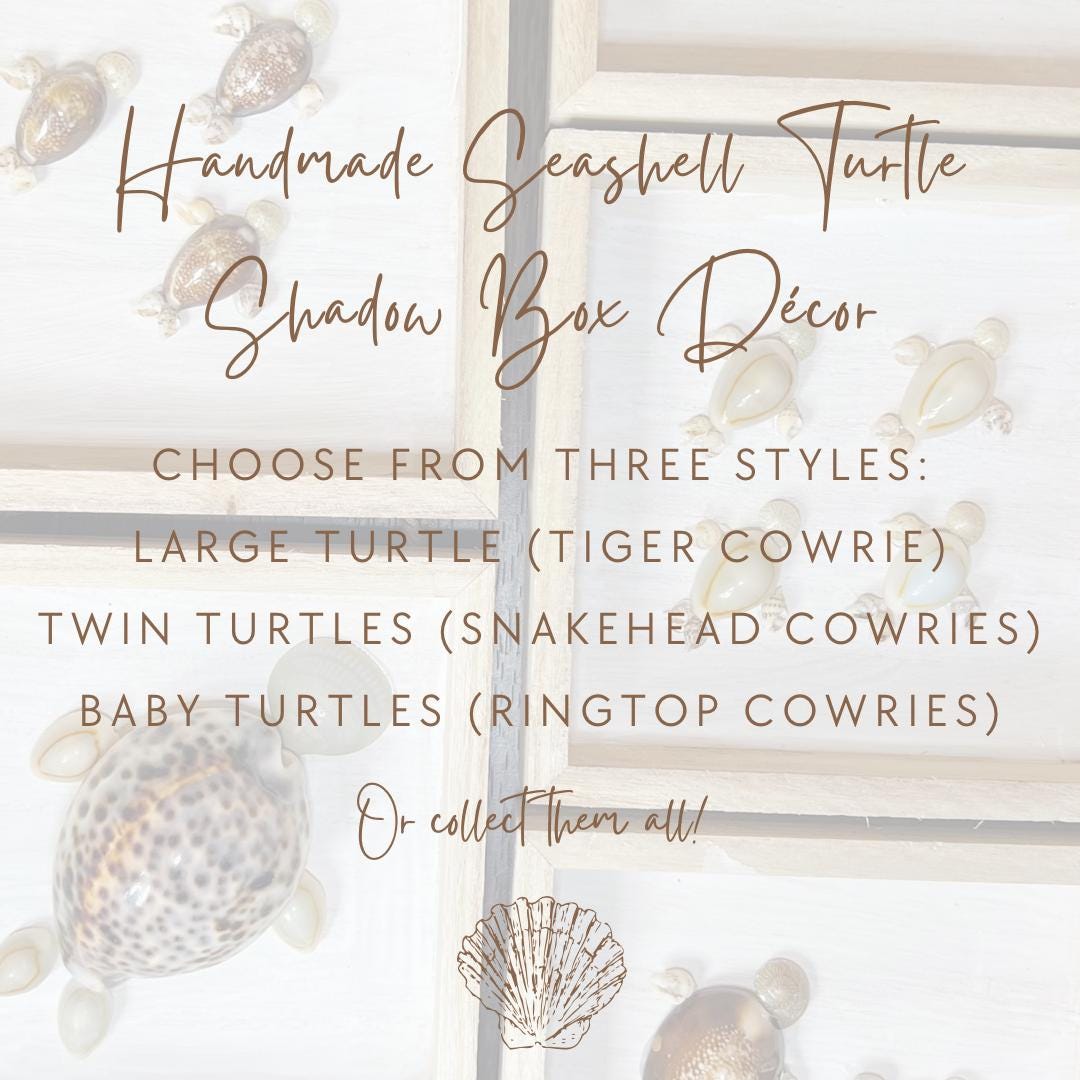 Handmade Seashell Turtle Shadow Box Décor