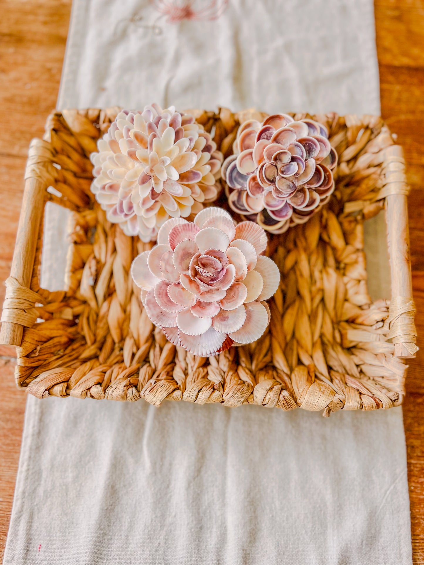 Coquina Seashell Flower