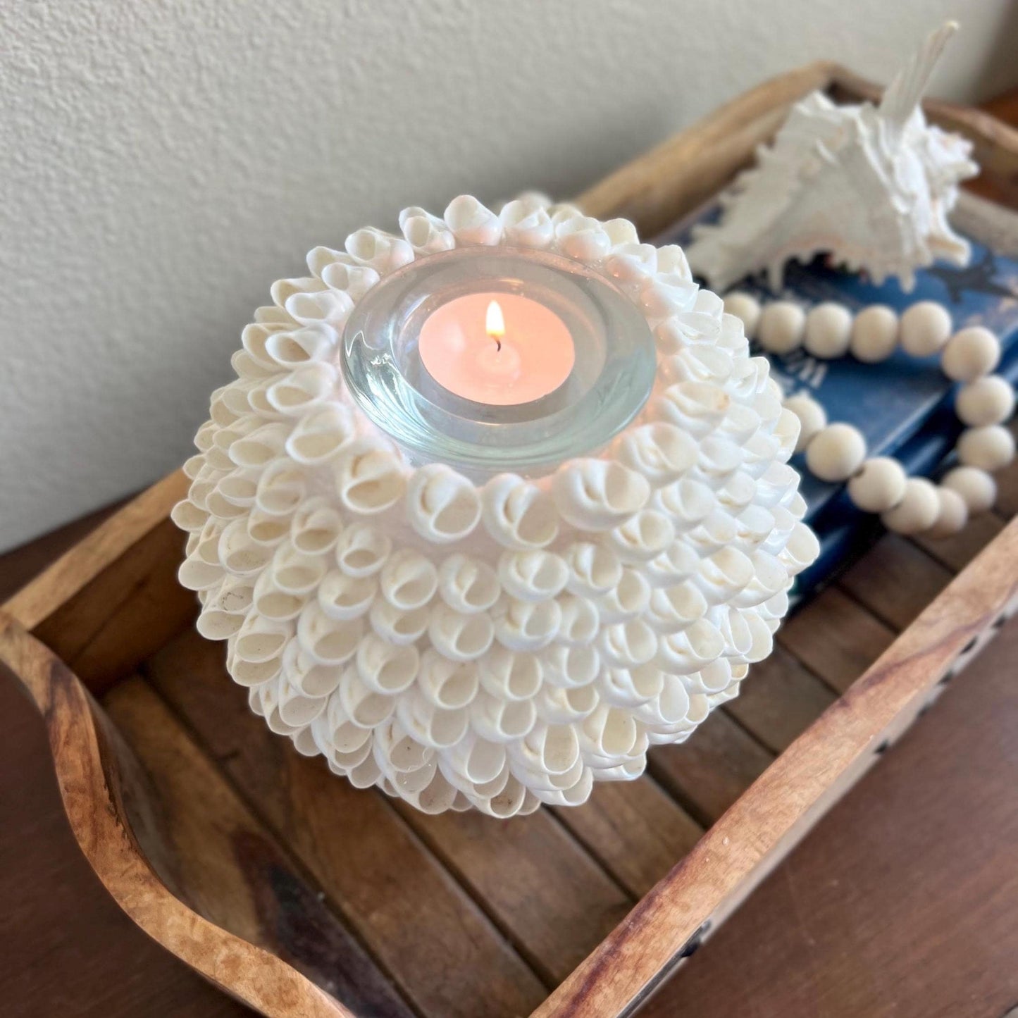 White Moon Snail Seashell Tealight Centerpiece | Seashell Candle Votive
