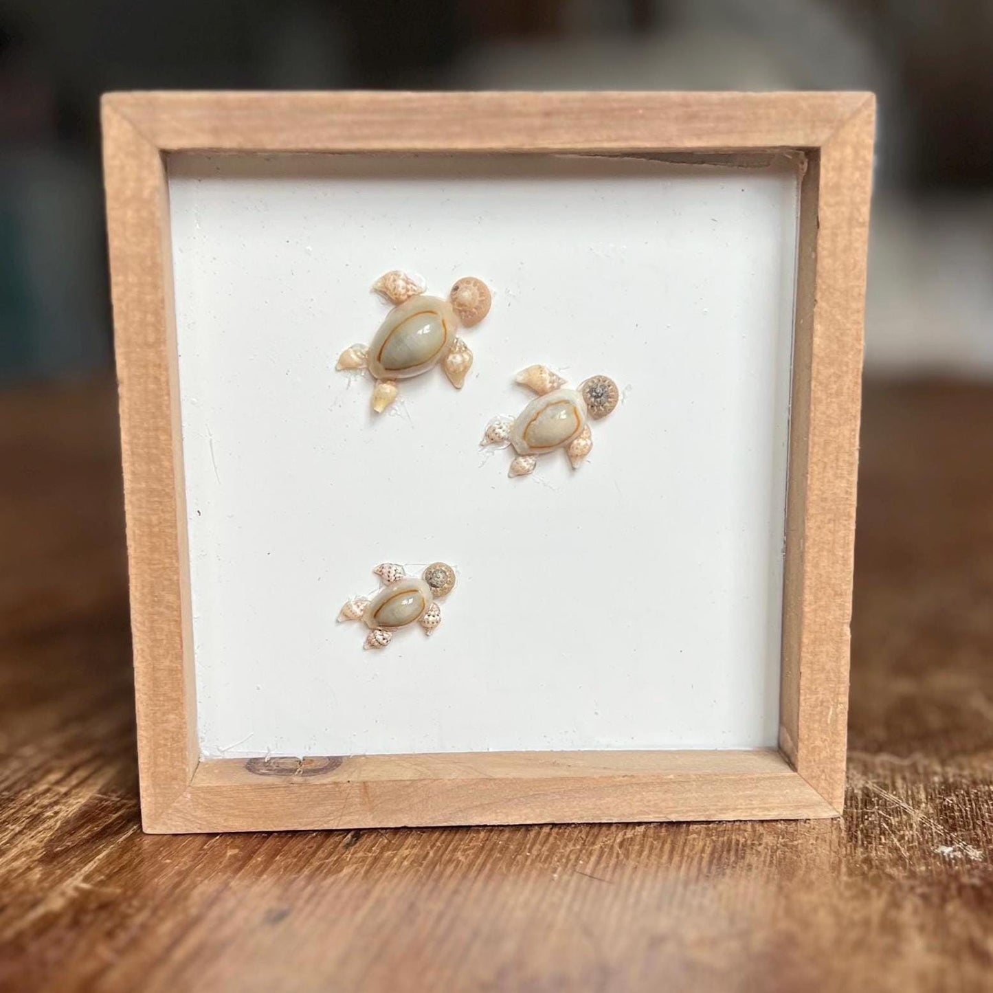 Handmade Seashell Turtle Shadow Box Décor