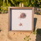 Mama and Baby Seashell Turtle Art