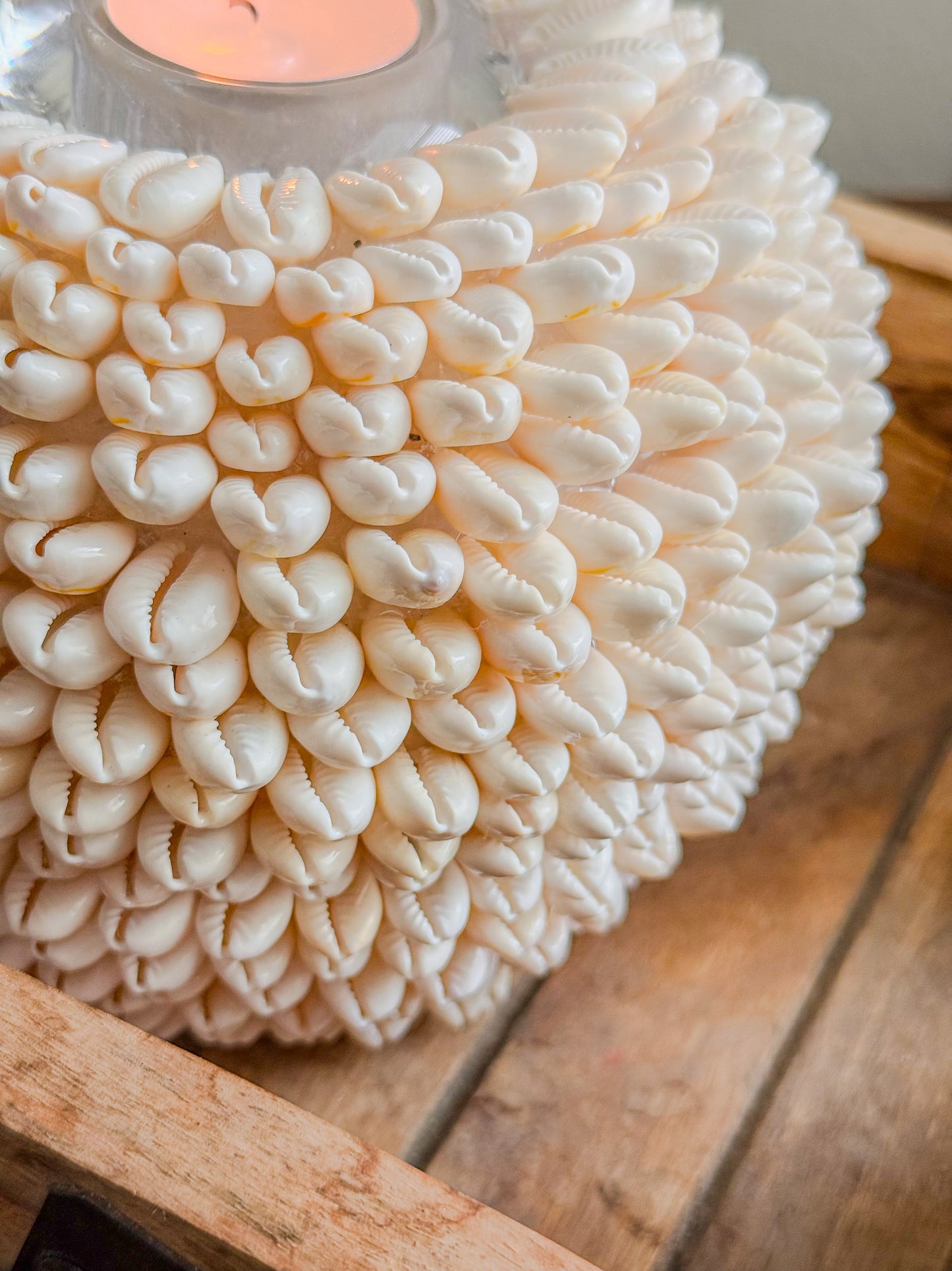 White Cowrie Shell Tealight Centerpiece | Seashell Candle Votive