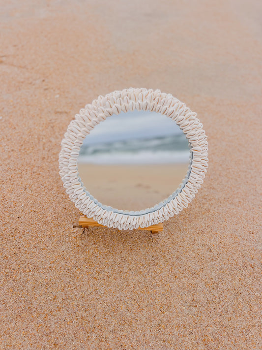 Cowrie Seashell Mirror