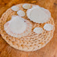 Scallop Shell Candles