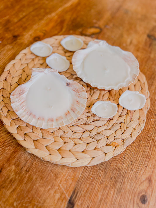 Scallop Shell Candles
