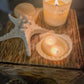 Scallop Shell Candles