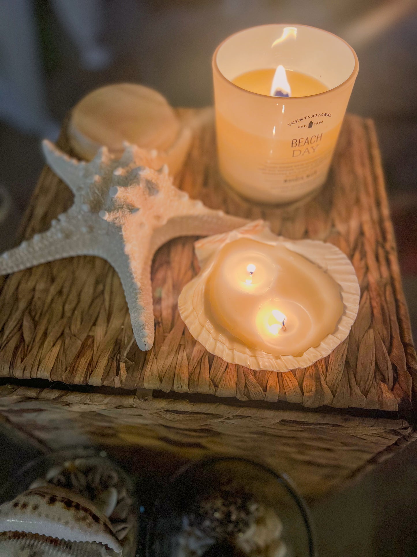Scallop Shell Candles