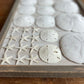 Sanddollar American Flag