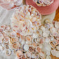 Coquina Seashell Flower