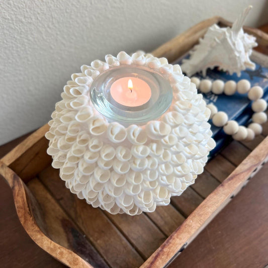 White Moon Snail Seashell Tealight Centerpiece | Seashell Candle Votive